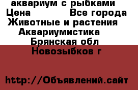 аквариум с рыбками › Цена ­ 1 000 - Все города Животные и растения » Аквариумистика   . Брянская обл.,Новозыбков г.